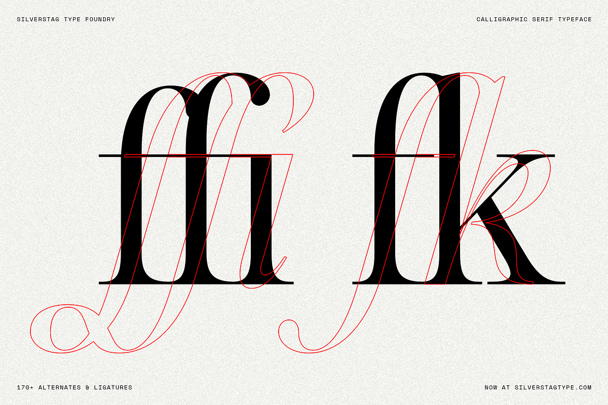 Netsera Calligraphic Serif Typeface, a Serif Font by SilverStag Type Foundry (Photo 12 of 30)