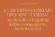 Harmond - New Trendy Serif, a Sans Serif Font by Dirtyline Studio (Thumbnail 18 of 19)