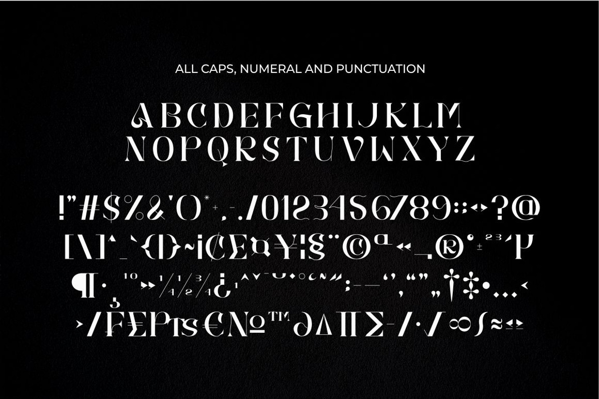 Brays unique display serif font, a Serif Font by suhadidesign (Photo 9 of 11)