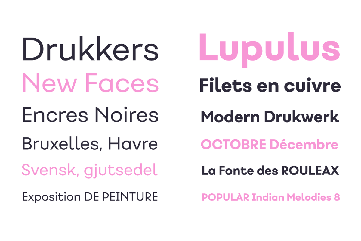 Fibra - Family 50% off, a Sans Serif Font by Los Andes Type (Photo 9 of 17)
