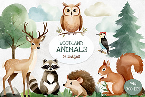 Woodland Animals. Watercolor Clipart, an Illustration by Hanna's ArtLab