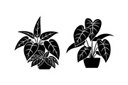 Minimal Botanical Leaf Silhouette Bu, an Illustration by Creativeshirt (Thumbnail 4 of 51)