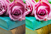 BRIGHT BOOKSTAGRAM LIGHTROOM PRESETS, an Action Add-On by Emma Kate Creative (Thumbnail 6 of 10)