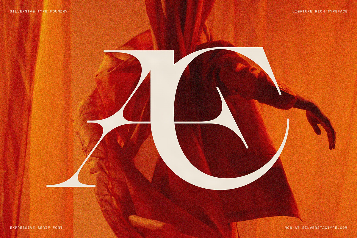 Spanish Archer - Ligature-Rich Font, a Serif Font by SilverStag Type Foundry (Photo 18 of 19)