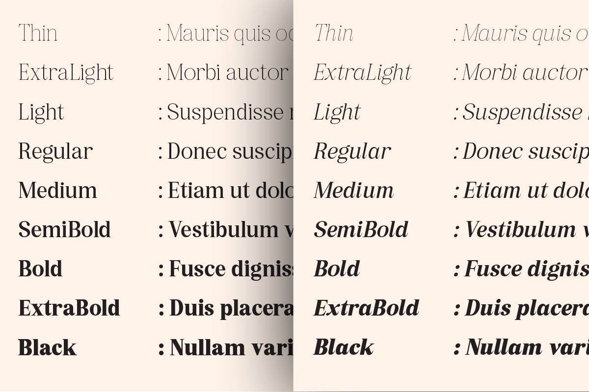 Pujarelah - Serif Family Font, a Serif Font by Differentialtype (Photo 4 of 13)