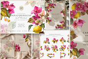 BUNDLE Watercolor Fruit and Flora, a Decorative Illustration by ThaismotaCreativeCo (Thumbnail 10 of 14)