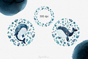 Whale watercolor clipart, an Illustration by DigitalDream (Thumbnail 9 of 11)