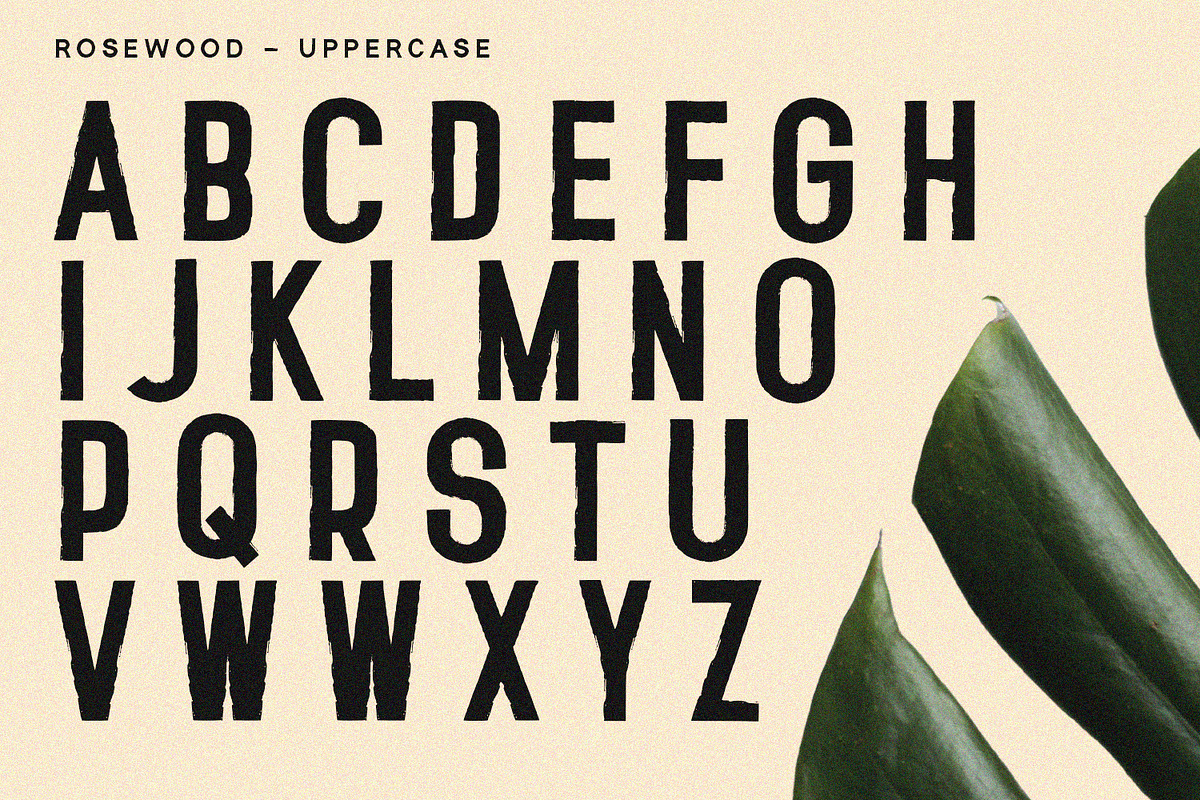 Rosewood - Sans Serif Font, a Sans Serif Font by Alpaprana (Photo 4 of 13)