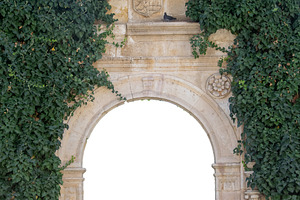 Isolated image of stone archway covered in green ivy, an Architecture Photo by DanFLCreativo