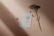 Zodiac Signs Horoscope Illustrations, a Graphic by Olya Creative (Thumbnail 25 of 37)