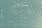 Baldive - a Signature Monoline Font, a Script Font by Balpirick Studio (Thumbnail 6 of 8)