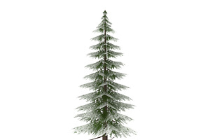 Canadian Spruce Tree Snow V3