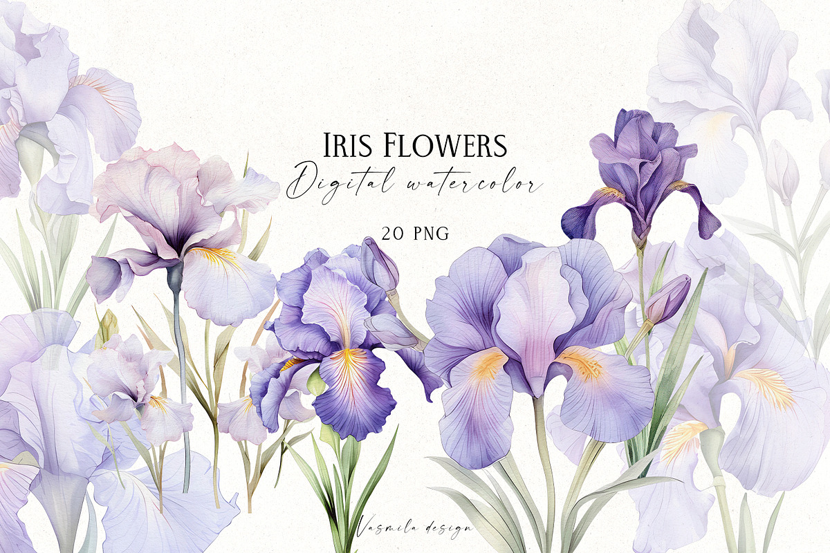 Iris Flowers, a Decorative Illustration by Vasmila (Photo 1 of 9)