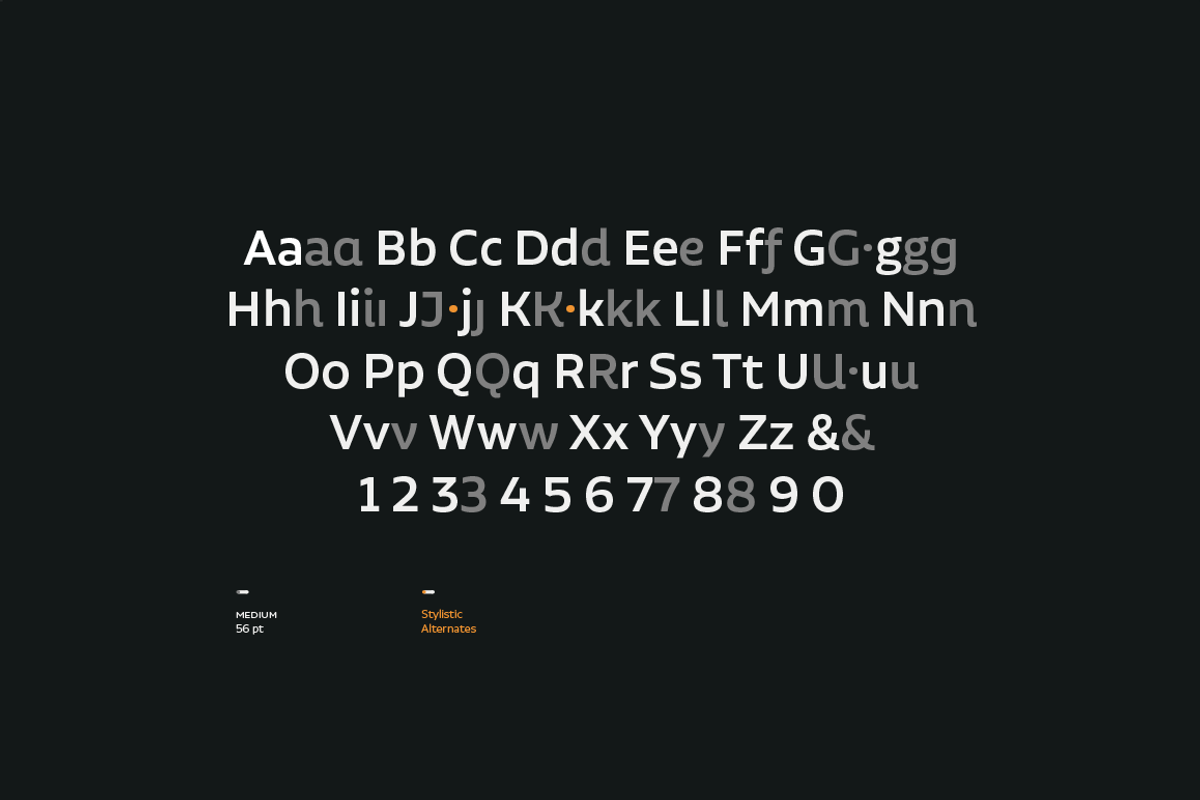 Aalto Sans, a Sans Serif Font by Los Andes Type (Photo 6 of 19)