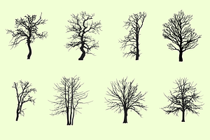 Set of dead trees without leaves