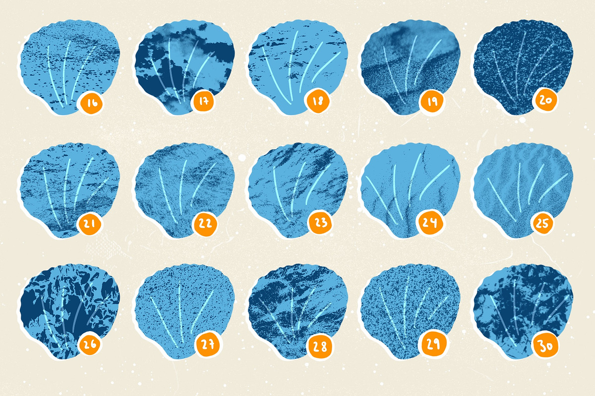 Seashells + Driftwood Procreate Set, a Brush Add-On by PrettyLittlePigs (Photo 10 of 10)