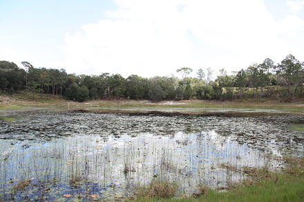 Lake in Gold Head Branch State Park