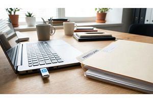 USB drive with artificial, a Technology Photo by Igor Tichonow