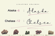 Boulevard - Handwritten Font Duo, a Script Font by endita (Thumbnail 13 of 16)