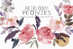 Heirloom Peonies - Watercolor Floral