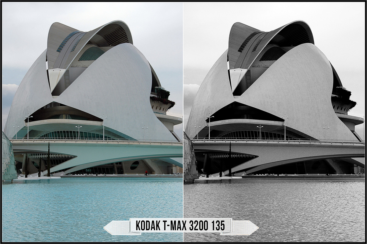 Eastman Kodak Black and White Films, a Plug-in Add-On by Raztrend (Photo 26 of 30)