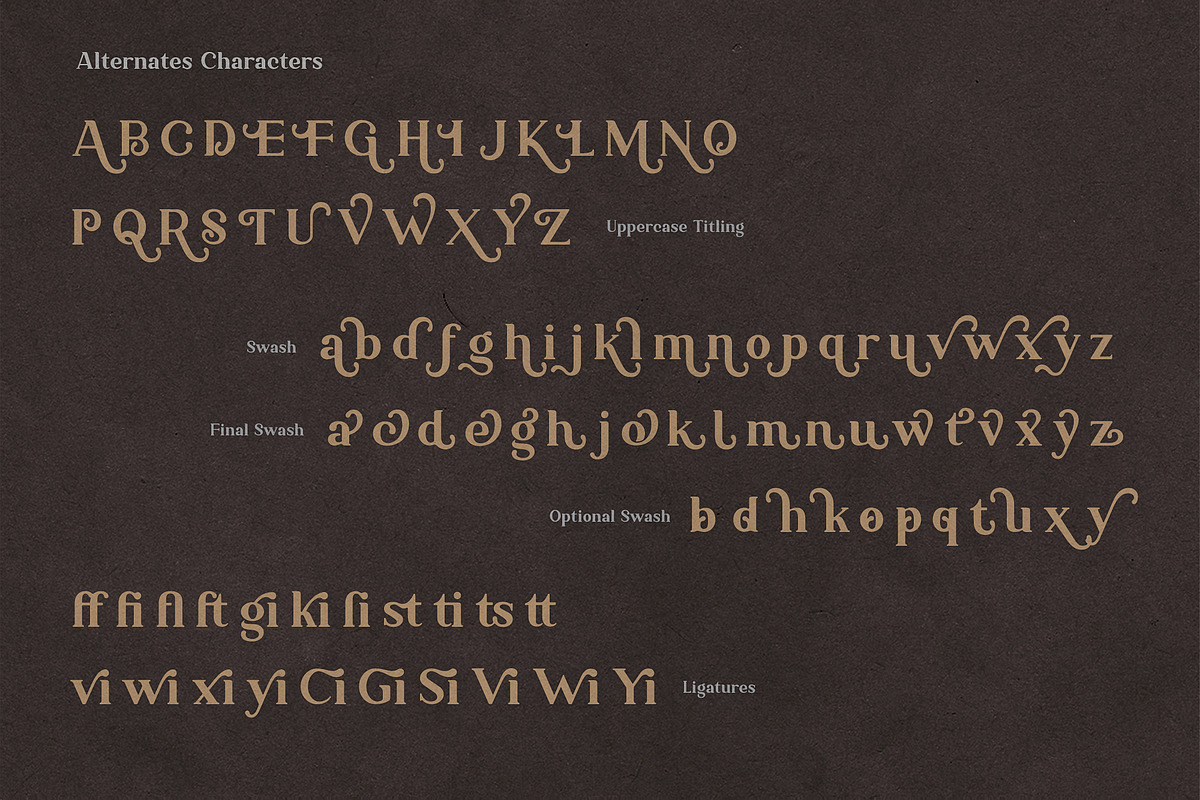 Ambigue Wild Modern x Vintage Serif, a Serif Font by Wandery Supply (Photo 21 of 22)