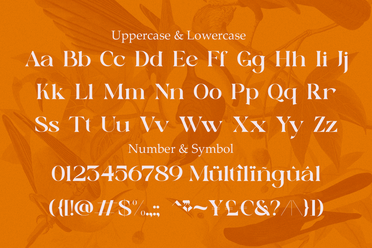 Sunny Paradise - Decorative Typeface, a Serif Font by Windfall Co (Photo 9 of 11)