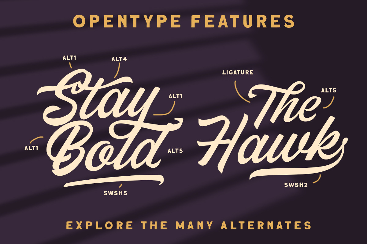 Thirtylane - Modern Script, a Script Font by Letterhend Studio (Photo 4 of 9)