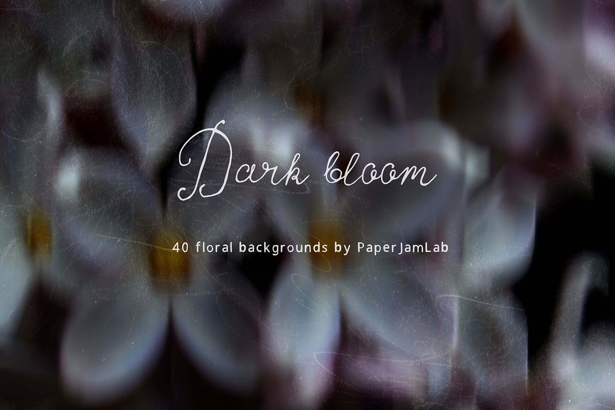 Dark bloom. Floral Backgrounds, a Background Graphic by PaperJamLab (Photo 14 of 14)