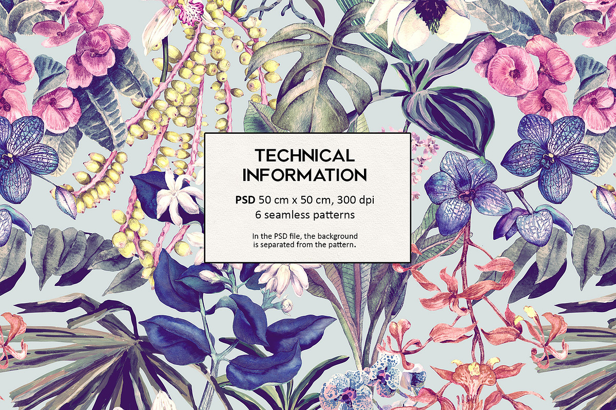 Floria. Tropical pattern, a Pattern Graphic by emeraldthue (Photo 2 of 7)