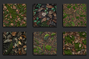 Forest Floor Texture Backgrounds, a Background Graphic by protabsorkar11 (Thumbnail 4 of 4)