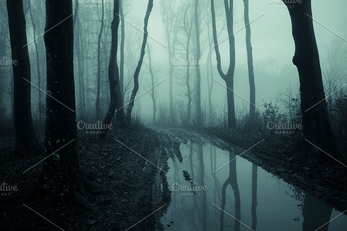 Halloween Forest pack 2018 Hi Res, a Nature Photo by Atmospheric visuals (Photo 9 of 11)