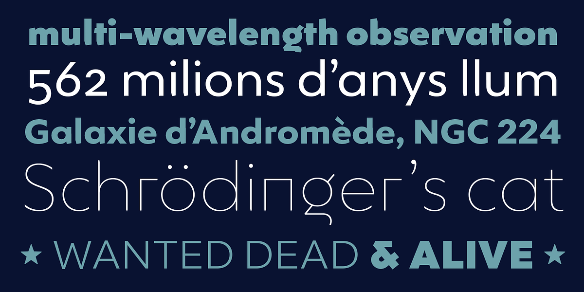 Ingeo, a Sans Serif Font by Blancoletters (Photo 2 of 15)