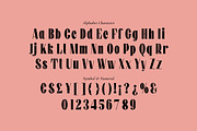 Growth Tracks - Aesthetic Serif Font, a Serif Font by Fype Co. (Thumbnail 5 of 5)