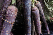 Feeling Organic, a Food & Drink Photo by Feelings (Thumbnail 3 of 5)