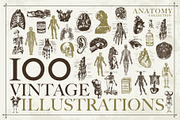 100+ Vintage Anatomy Vectors, a Healthcare Illustration by Shizzle Stock (Thumbnail 2 of 20)