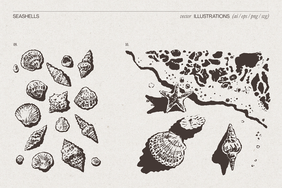 Summer Vacation Beach Collection, a Seasonal Illustration by TheMountBirdStudio (Photo 19 of 21)