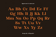 The Braga Modern Font, a Serif Font by Font Kingdom (Thumbnail 4 of 7)