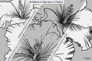 Hibiscus ClipArts & Alphabets