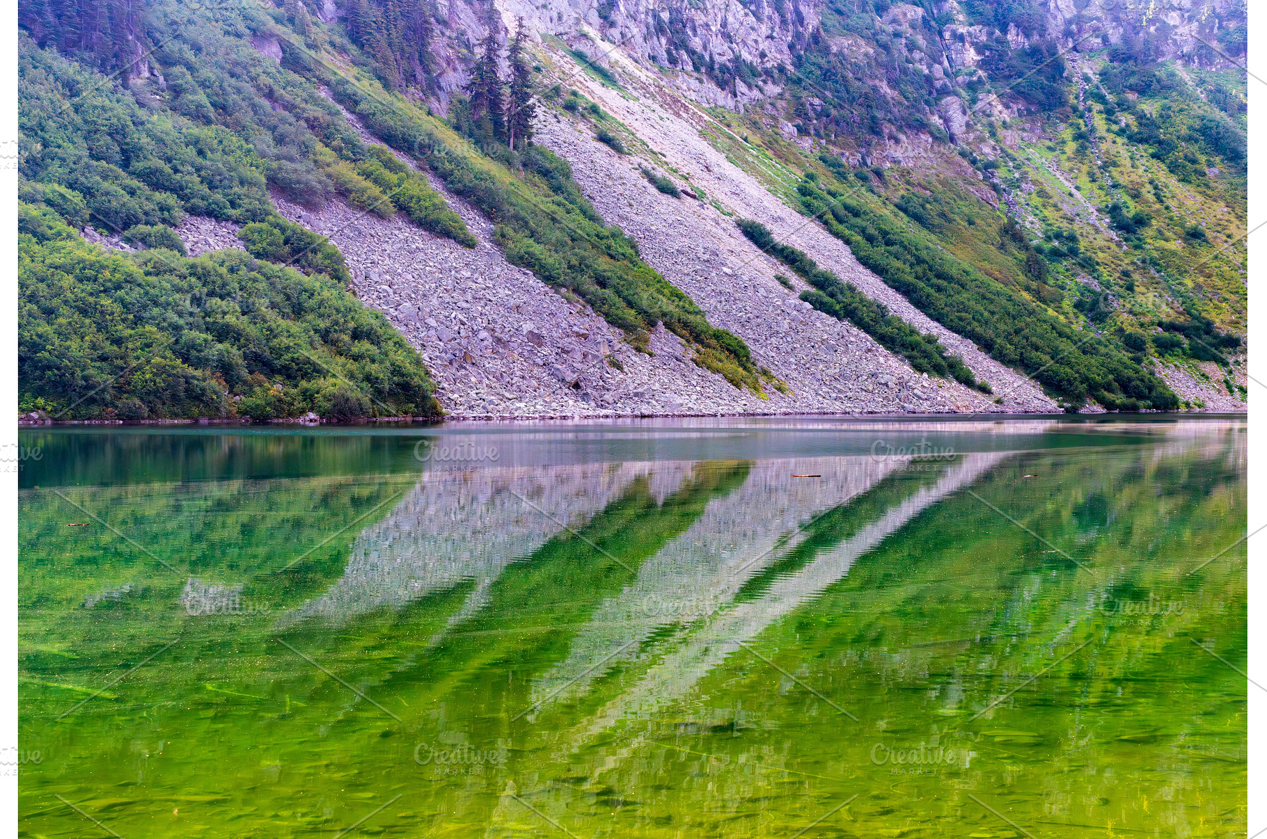 Mirror image reflection of Rainy, a Nature Photo by Backyard Stock