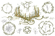 Deer antlers collection., an Animal Illustration by ArtOwl (Thumbnail 7 of 8)