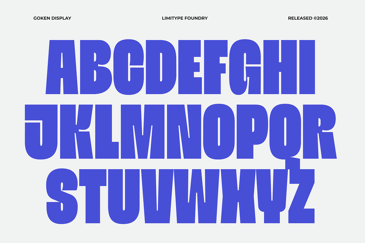 Goken - Bold Font, a Sans Serif Font by limitype (Photo 7 of 10)