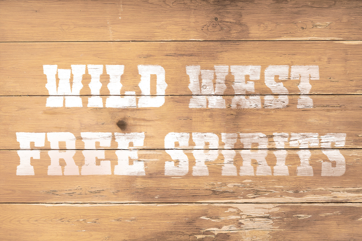 Cactus Hugger - Western Font, a Serif Font by ariodsgn (Photo 6 of 6)