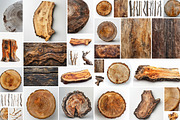 Wood - 163 images, a Nature Photo by Handmadefont (Thumbnail 12 of 25)