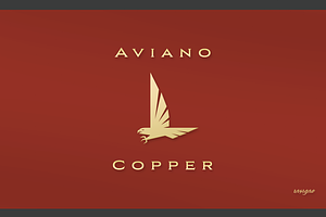 Aviano Copper, a Serif Font by insigne