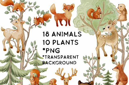 Forest Woodland animals and trees