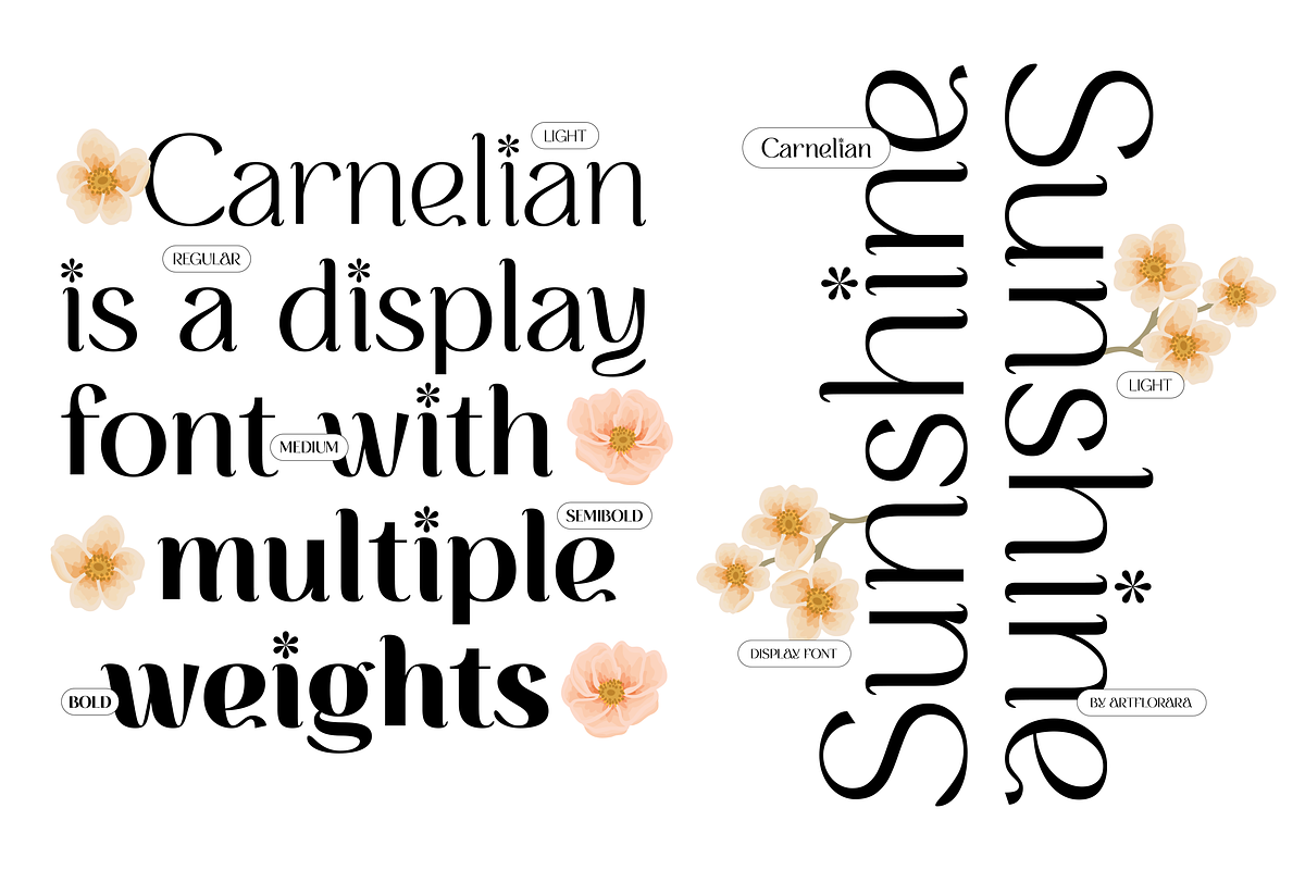 CARNELIAN - Display Variable Type, a Sans Serif Font by Artflorara (Photo 3 of 15)