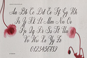 Adore Studio Romantic Font Duo, a Script Font by AnMark (Thumbnail 7 of 14)