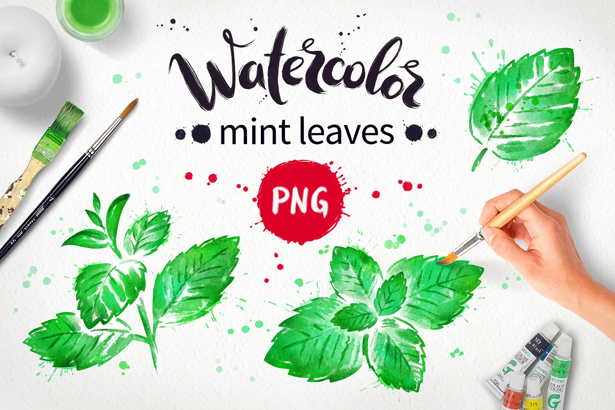 Mint Watercolor, an Object Graphic by Sonya Illustrations (Photo 1 of 2)
