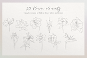 Blossom - floral line art, an Illustration by Anna.Klets (Thumbnail 3 of 14)